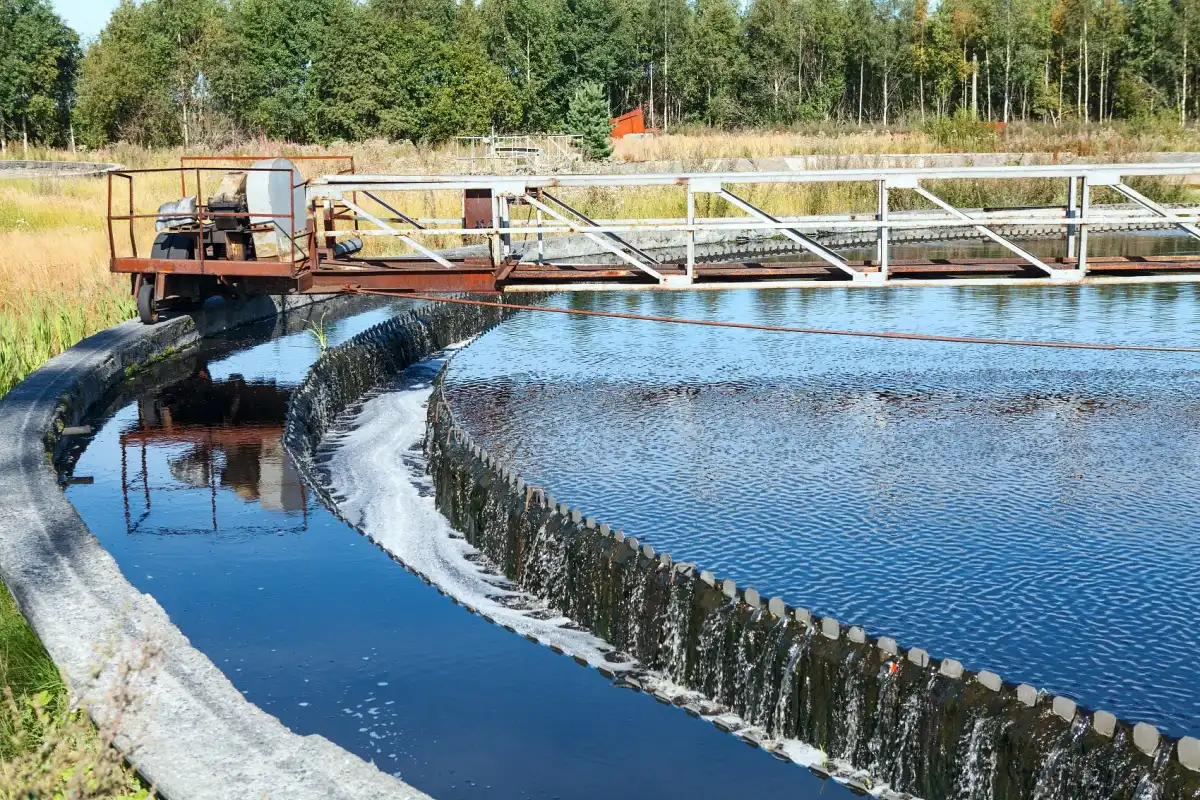 Is an Industrial Fluorine Removal Agent Effective in Treating Water Pollution?